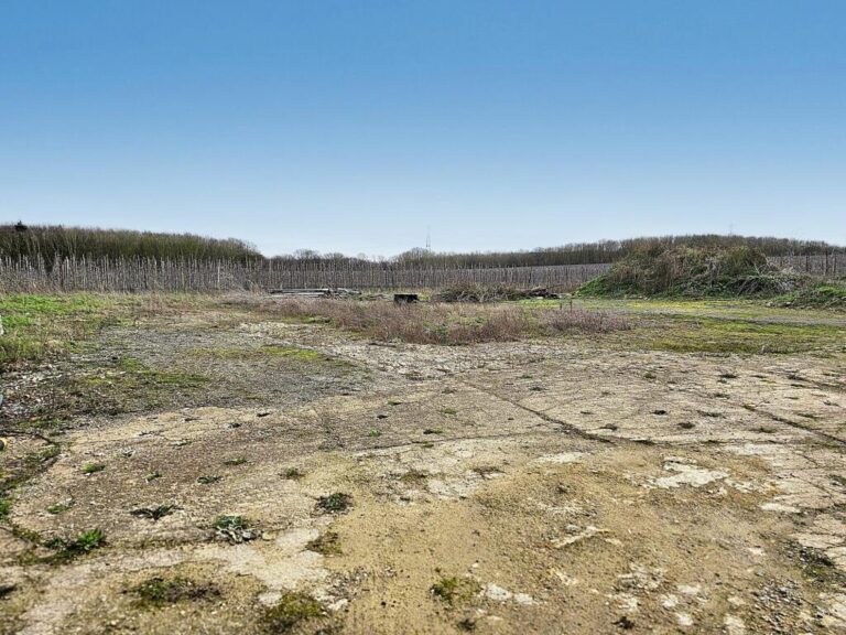 206981 4bcf48a2 38fa 4bdd 9324 1a0b91a84740 IMG 01 0001 768x576