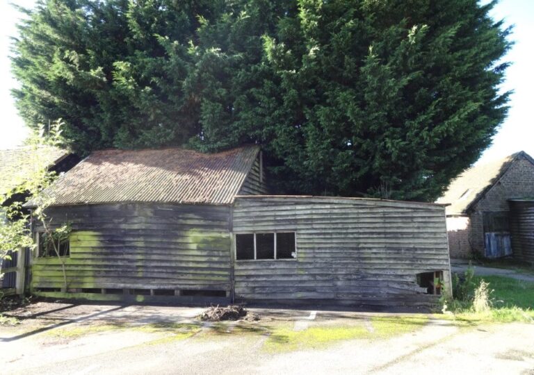 LF003658 2 1024x720 1 768x540